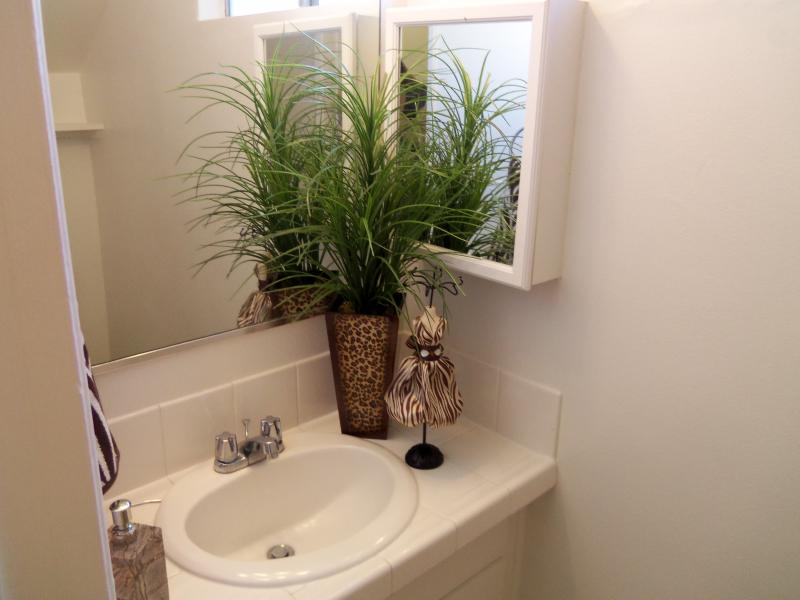 Photo of a bathroom emphasizing sink and vanity