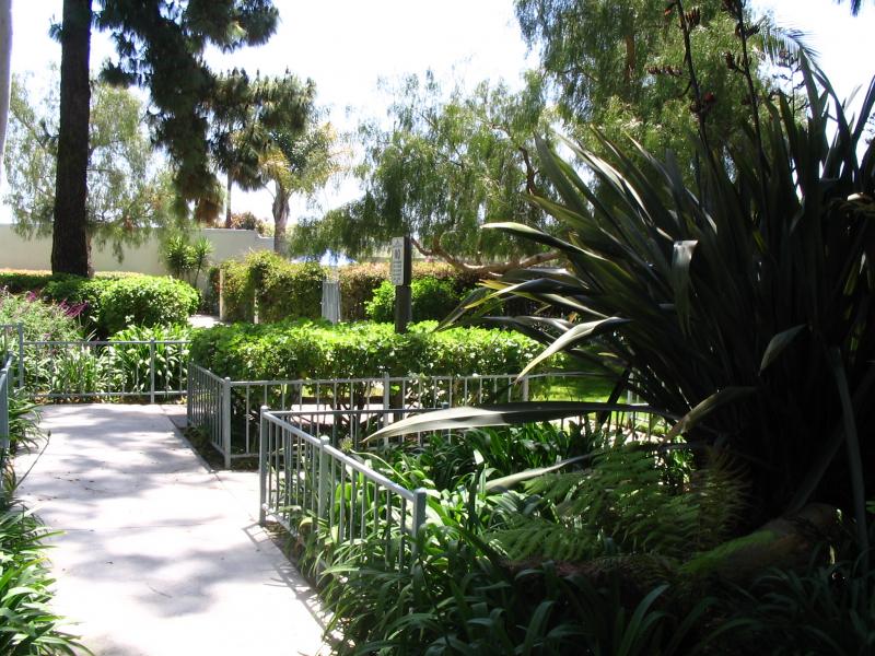 Photo of landscaping on the property